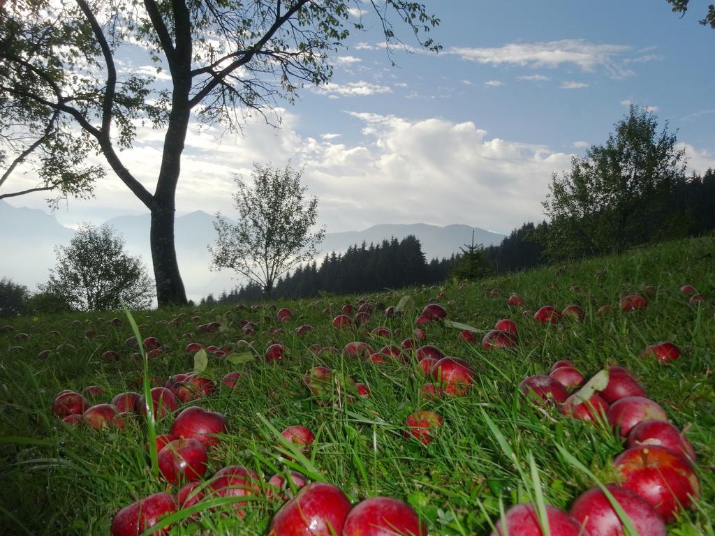 Ferienhof Margarethengut Unterach am Attersee Extérieur photo